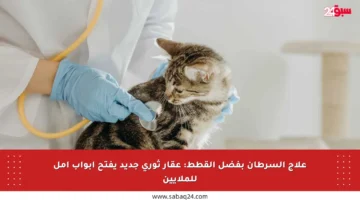 علاج السرطان بفضل القطط: عقار ثوري جديد يفتح أبواب أمل للملايين